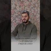 Озвучка С Днём Рождения На Аварском