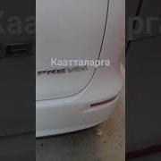 Кимгадир Ёкар Лола Ким Атиргул Шайдоси