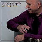 Zo At מיקי גבריאלוב