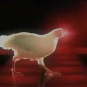 Chicken Song Slowed