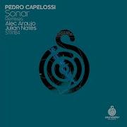 Pedro Capelossi Sonar Alec Araujo Rmx