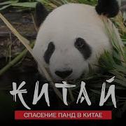 Эфир Лизы И Пандочки 09 08