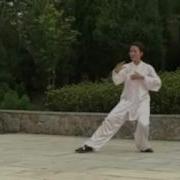 杨氏太极拳85式 全集
