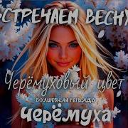 Черемуха Черемуховый Цвет