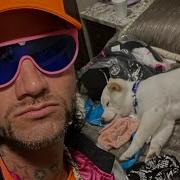 Vip Pass To My Heart Riff Raff