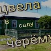Отцвела В Салу Черемуха Михаил Устенко