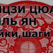 Тайцзи Цюань Ушу Часть 1