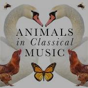 Piano Quintet In A Major D 667 Trout Iv Andantino Theme And Variations Atar Arad Ludwig Streicher