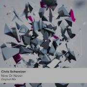 Now Or Never Chris Schweizer