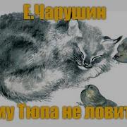 Почему Тюпа Не Ловит Птиц