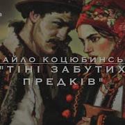 Тіні Забутих Предків Аудіокнига