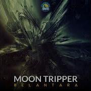 Moon Tripper Groovy Doobie