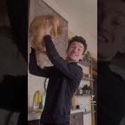 Симбочка Симбочка Очень Милый Котик