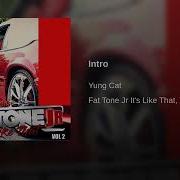Intro Yung Cat