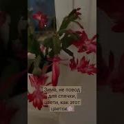 В Душе Живет Весна