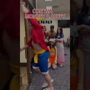 Try Everything Luffy Ai Cover