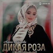 Сын Вайнахский Наш Иса