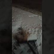 Белокрылый Самолёт Забери Меня В Полёт