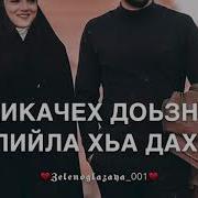 Дал Декъал Войл Хьо Винчу Денца Тимерлан