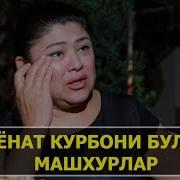 Хиёнат Курбони Булган Юлдузлар Xiyonat Qurboni Bo Lgan Mashxurlar