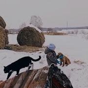 Мне Ветер Сказку Нашептал