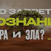 Проповеди Виктор Томев