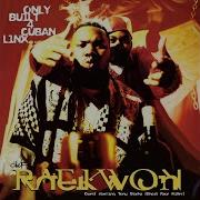 Raekwon Glaciers Of Ice Feat Ghostface Killah