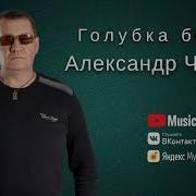 Александр Чурей Голубка Белая