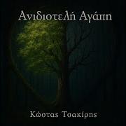 Anidioteli Agapi