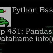 Python Basics Pandas Dataframe Info Method Python Basics