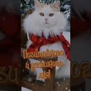 Привет Увидимся В Следующем Году