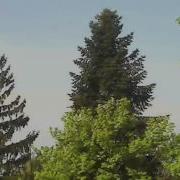 Путешествие В Ваше Будущее На Три Года Вперёд Медитация