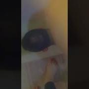 مسترس انجي لحس قدمها