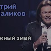 Бумажный Змей Дмитрий Маликов