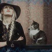 Nicolass The Year Of The Cat