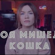 Моя Мишель Кошка