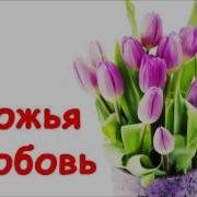 Божья Любовь Мхо Мсц Ехб