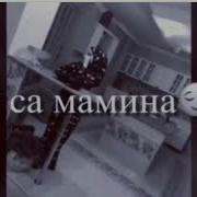 Эц Эшари Ц1Е Алиш