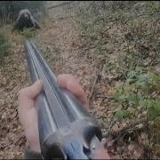 Медвежий Ворс