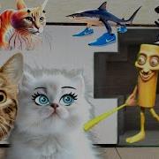 Балерини Капучини