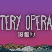 Battery Operated Extended Tigerblind