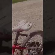 Еду Я На Дачу Пожелайте Мне Удачи