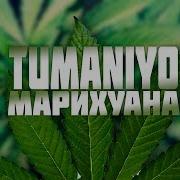 Tumaniyo Марихуана I Реакция На Трек
