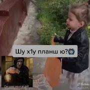 Мархнаш Дала Къобал Дойл Шу
