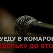 Комарово Минус