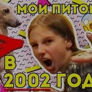 Мои Питомцы И Я
