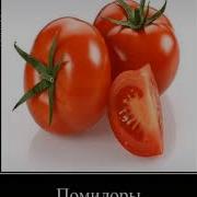 Помидоры 1 Часовая Версия Мем Тик Ток