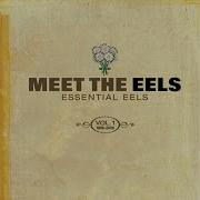 Eels I Need Some Sleep