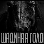 Лошодинная Голова Страшные Истории