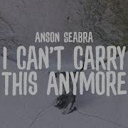 I Can T Carry This Anymore Anson Seabra